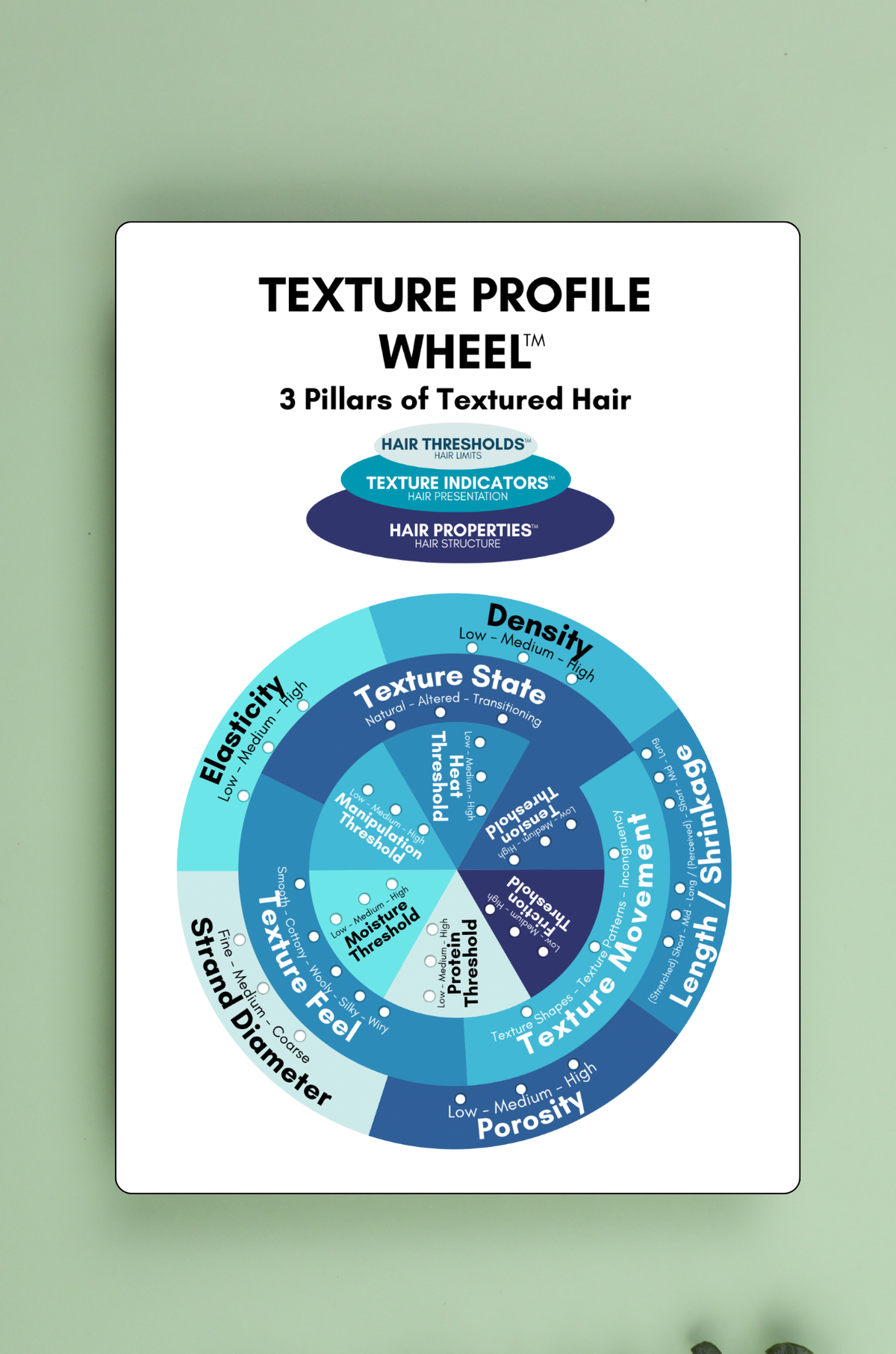 Texture Profile Wheel™  References